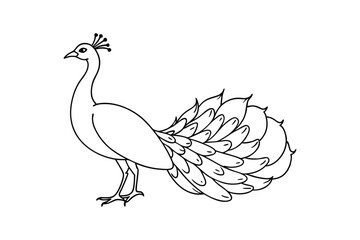 Rooster Vector Illustration - Farm Bird Design with Feathers, Rustic Minimalist Outline, Elegant Farm Art