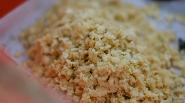 Close up of harvesting black soldier fly eggs to be raised into larvae/maggots at an insect farm for animal feed.
