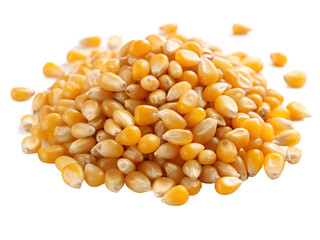 seeds isolated on white