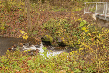 Die Flusstreppe im Flussbett  der Sieg.
Mit Herbststimmung und Farben.
