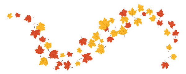 red and yellow maple autumn leaves levitation in the air isolated element illustration design