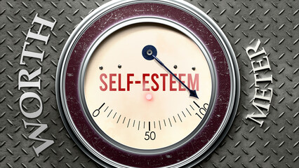 Self-Esteem and Worth that is hitting a full scale, showing a very high level of self-esteem, overload of it, too much of it. Maximum value, off the charts.  ,3d illustration