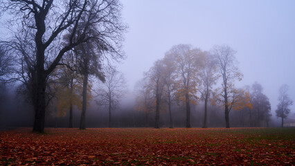 In the fall 