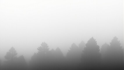 Minimalist foggy pine forest with visible tree trunks
