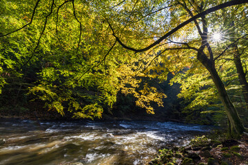 Romantic rivers - Metuje, Czech republic
