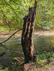 Romantic rivers - Metuje, Czech republic