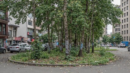 Fototapeta premium City forest with graffiti trees and urban decay