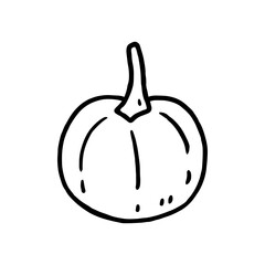Pumpkin isolated on a white background. Vector hand-drawn doodle illustration. Perfect for decorations, menu, logo, various designs.