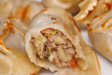 gyoza with selective focus. gyoza details. meal details. gyoza filling.