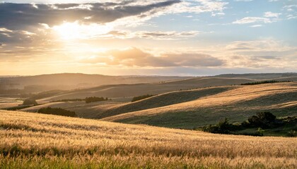 Fototapeta premium Rolling Hills and Golden Fields Stretching Across the Horizon, Bathed in the Warm Light of a Golden Sunset With Soft Clouds and a Gentle Breeze Blowing Through the Grass