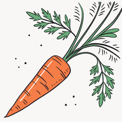 carrots and carrot