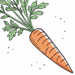 carrots and carrot
