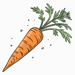 carrots and carrot