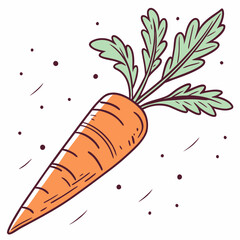 illustration of a carrot