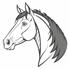 horse head vector