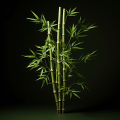 Obraz premium A Bamboo Plant Gracefully Isolated on a Clean White Background 