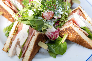 white plate with sliced chicken sandwiches and green salad in a restaurant
