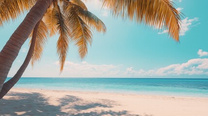 Naklejka premium Freedom tropical beach background. Beautiful palm tree over white sand beach.
