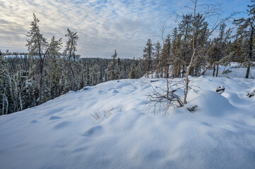 Winter view of a hilltop on the Cameron Falls Trail in Hidden Lake Territorial Park near Yellowknife, Northwest Territories, Canada