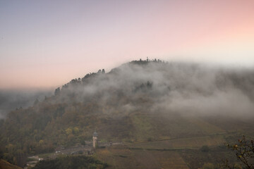 Landscape shot in autumn. a town meanders between a river and autumnal vineyards in the mist. A castle stands on the hill. Zell Mosel, Hunsrück, Rhineland Palatinate