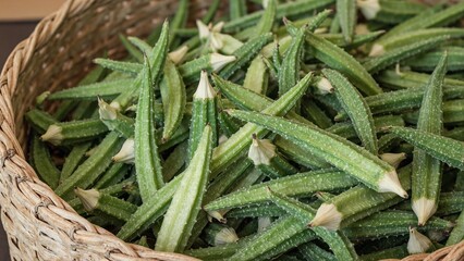Freshly picked okra pods in a rustic basket showcasing vibrant green colors