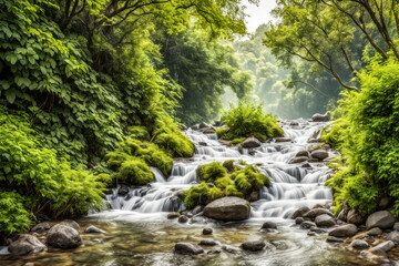 Obraz premium Lush green forest stream cascading over mossy rocks.