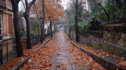 Naklejka premium A serene, picturesque pathway adorned with vibrant autumn leaves, flanked by trees and historical architecture, evokes a tranquil ambiance
