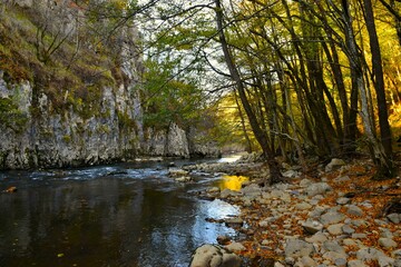 Fototapeta premium Reka river canyon in Primorska, Slovenia