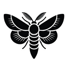 Moth Silhouette