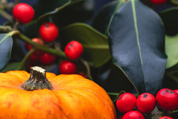 A studio macro shot for a theme of Equinox, which has just seen us enter Autumn, with a miniature pumpkin set against foliage and berries from a holly bush, both signifiers that Autumn has arrived.  