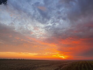 sunset over the field