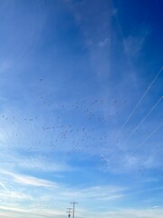 lines in the sky