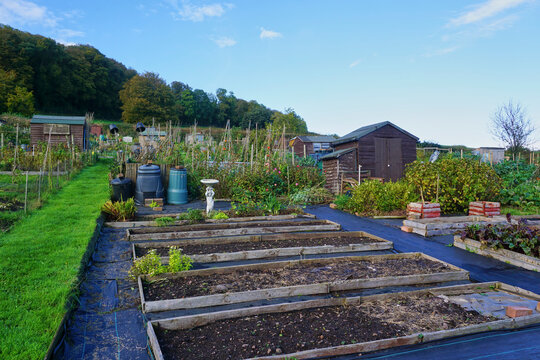 allotment garden featuring vegetable beds, wooden sheds, and lush greenery, set against a backdrop of trees during autumn. Ideal for gardening, sustainability, and outdoor concepts.