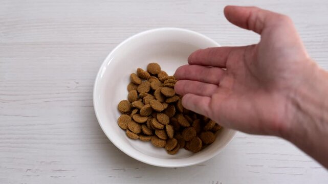 Pet Food pouring. Balanced dog food. Owner female hand is pour dry cat food into a steel gray cat bowl. Dry pet food falls into the bowl on the floor. Pet diet concept. Close-up. Dry animal feed