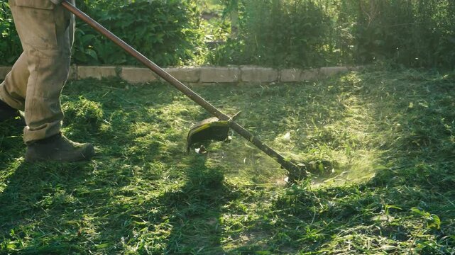 The worker mows the grass with a manual gas lawn mower. Cutting weeds close up. Cleaning the territory from weeds by the gardener