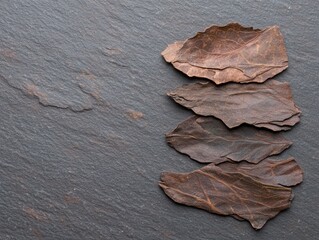 Obraz premium Dried autumn leaves on slate background