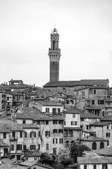 Obraz premium The Palazzo Pubblico, town hall is a palace in Siena, Italy