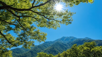 Obraz premium Bright Sunlight Shining Through Green Leaves above Lush Mountain Landscape on a Clear Blue Sky, Capturing the Beauty of Nature in Summer Season