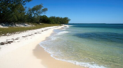 Obraz premium Serene Tropical Beach with Crystal Clear Water and Golden Sand Under a Bright Sunny Sky Surrounded by Lush Greenery and Tranquil Atmosphere