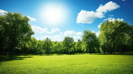 Obraz premium Scenic Park Landscape with Bright Sunlight and Lush Greenery Under a Blue Sky, Perfect for Nature and Outdoor Themes