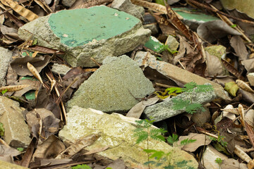 green moss on stone