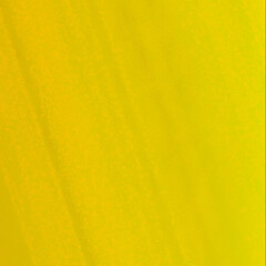 Obraz premium Square banner Template for backgrounds holiday events posters web internet ads and design works