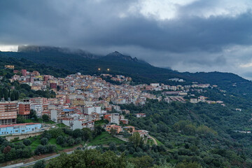 Obraz premium A view of a very densely built-up town, hidden in the middle of a forest.