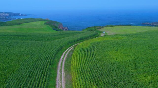 Aerial view from a drone of the coastal landscape and crops in the area around Cabo Cebes in Tapia de Casariego. Asturias. Spain. Europe