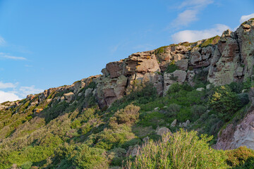 Obraz premium Rocks sticking out from a heavily overgrown hillside