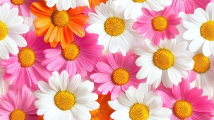 Fototapeta premium Seamless floral pattern design featuring colorful daisies on a white background