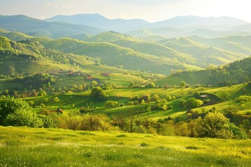 Obraz premium A scenic view of a valley with mountains in the background, suitable for travel or nature-related projects