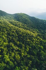 Obraz premium Aerial perspective of lush green forests atop a mountain beneath a clear sky