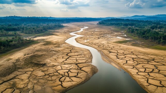 aerial view of the dry amazon river