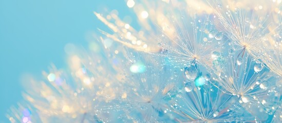Fototapeta premium Abstract macro image of dandelion seeds with water droplets featuring a soft focus background in pastel blue tones Ideal for wallpaper and floral fantasy designs